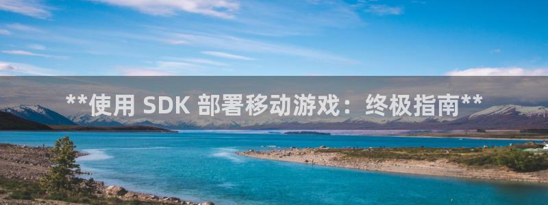 蓝狮品牌顾问有限公司：**使用 SDK 部署移动游戏：终极指南**