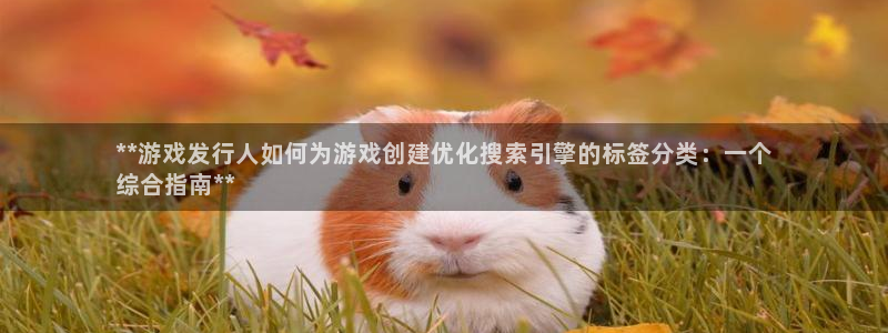 蓝狮集团是什么企业：**游戏发行人如何为游戏创建优化搜索引擎的标签分类：一个
综合指南**