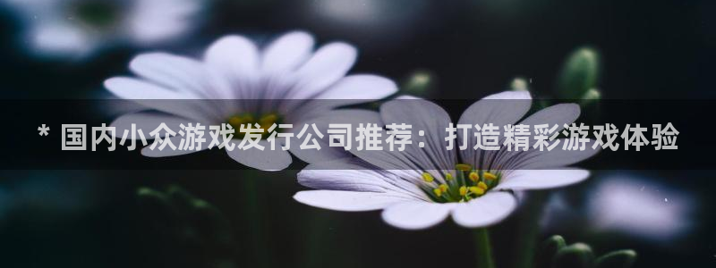 蓝狮在线注册地址在哪里啊：* 国内小众游戏发行公司推荐：打造精彩游戏体验