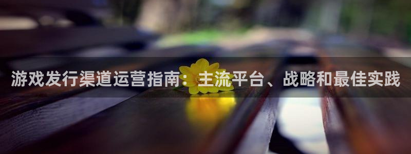 重庆蓝狮子文化传播有限公司：游戏发行渠道运营指南：主流平台、战略和最佳实践