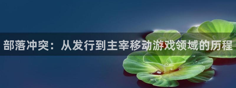 蓝狮在线解绑银行卡怎么操作：部落冲突：从发行到主宰移动游戏领域的历程