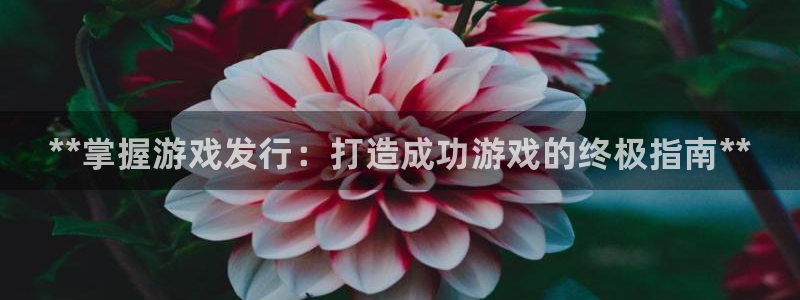 蓝狮在线游戏