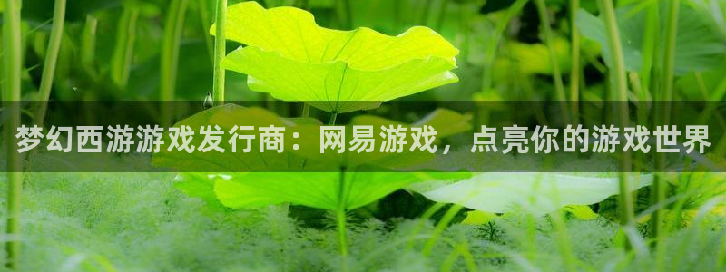 蓝狮子文化：梦幻西游游戏发行商：网易游戏，点亮你的游戏世界