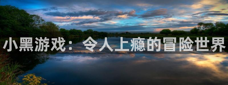 蓝狮电子商务有限公司：小黑游戏：令人上瘾的冒险世界