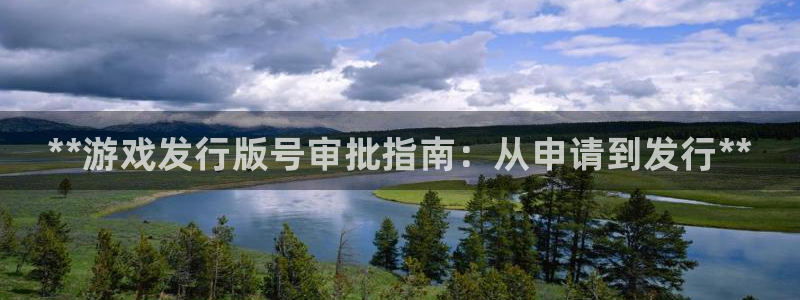 法国蓝狮官网：**游戏发行版号审批指南：从申请到发行**