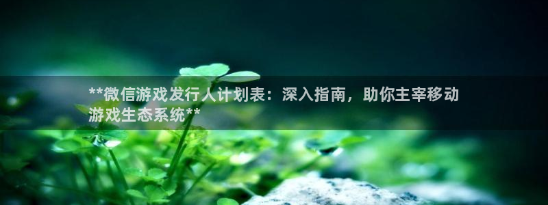 重庆蓝狮子文化传播有限公司：**微信游戏发行人计划表：深入指南，助你主宰移动
游戏生态系统**